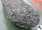 Mold on Kamado Tamarind Charcoal