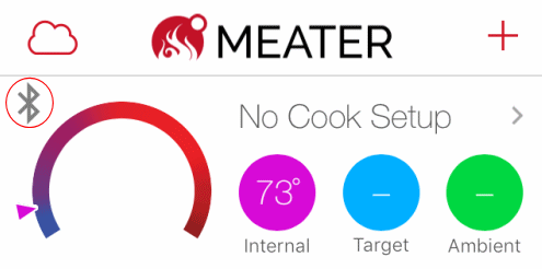 MEATER Probe Product Review -- Naked Whiz Ceramic Charcoal Cooking